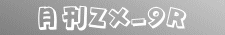  ZX-9R